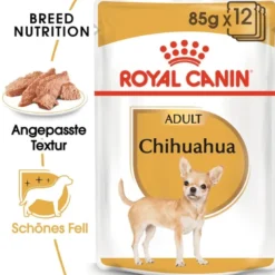 ROYAL CANIN Chihuahua Adult 4x12x85g cibo umido specifico per cani Chihuahua adulti