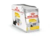 ROYAL CANIN Dermacomfort 12 x 85 g