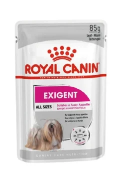 ROYAL CANIN Exigent paté per cani adulti e schizzinosi 24 x 85 g