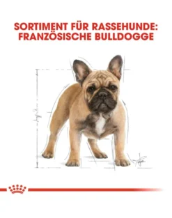 ROYAL CANIN French bulldog adult 3 kg