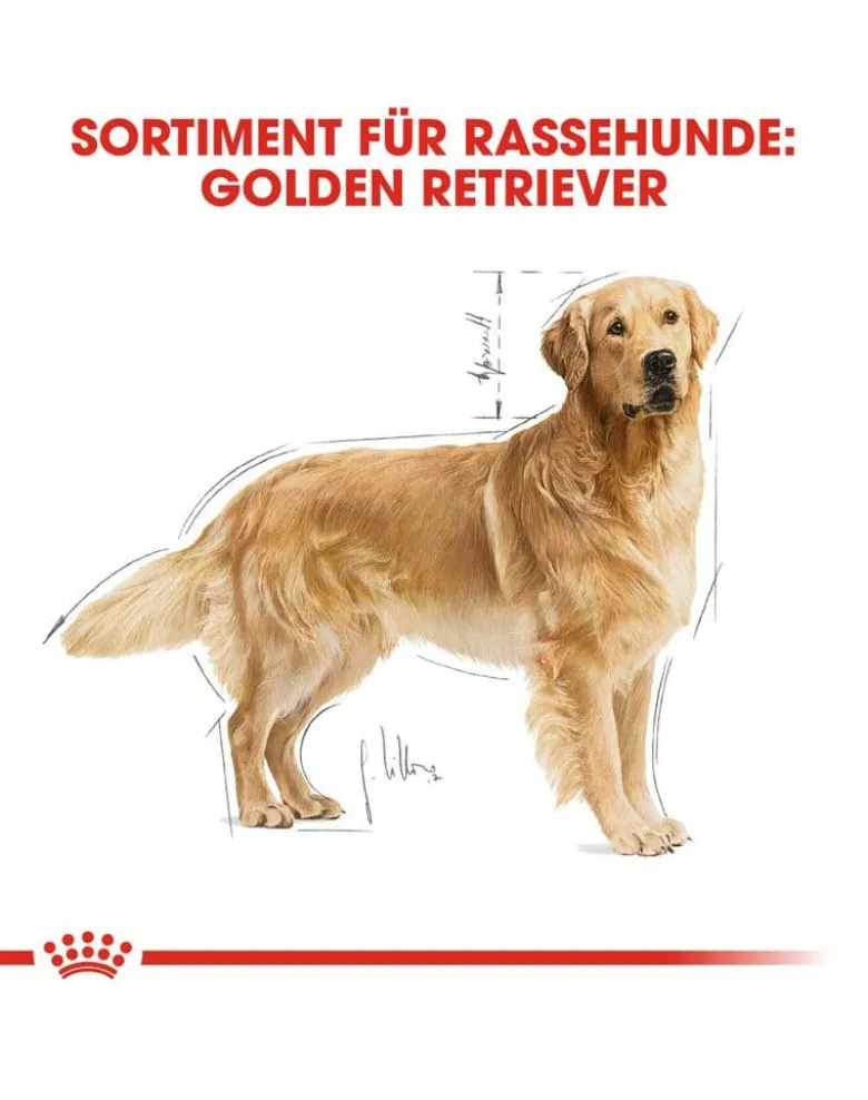 ROYAL CANIN Golden Retriever Adult 24kg (2x12kg)