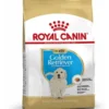 ROYAL CANIN Golden Retriever Puppy Junior 12kg