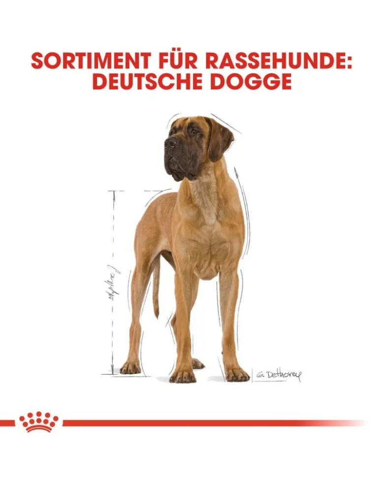 ROYAL CANIN Great Dane Adult 24kg (2x12kg)