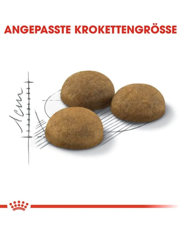 ROYAL CANIN Indoor long hair 35 2 kg