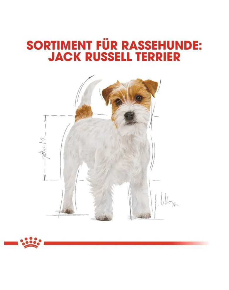 ROYAL CANIN Jack Russell Terrier adult 1.5 kg