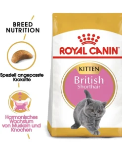 ROYAL CANIN Kitten British Shorthair 20kg (2x10 kg)