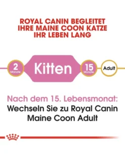 ROYAL CANIN Kitten Maine Coon 2 kg