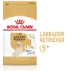 ROYAL CANIN Labrador Retriever Adult 5+ 12 kg