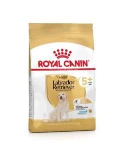 ROYAL CANIN Labrador Retriever Adult 5+ 12 kg