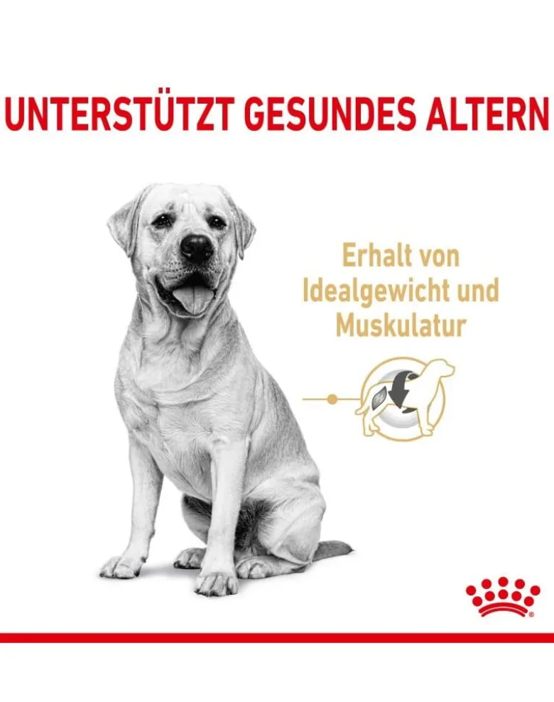 ROYAL CANIN Labrador Retriever Adult 5+ 12 kg