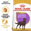 ROYAL CANIN Labrador retriever adult sterilised 12 kg alimento secco per labrador retriever di età superiore ai 15 mesi dopo la sterilizzazione