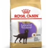 ROYAL CANIN Labrador Retriever Adult Sterilised 2x12kg