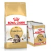 ROYAL CANIN Maine Coon Adult 10kg + umido Mainecoon 12x85 g