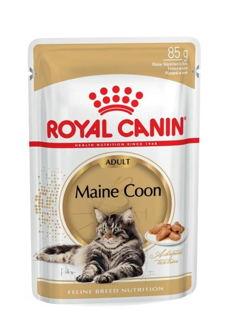 ROYAL CANIN Maine Coon Adult 10kg + umido Mainecoon 12x85 g