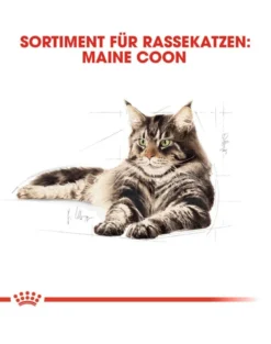 ROYAL CANIN Maine Coon Adult 10kg + umido Mainecoon 12x85 g