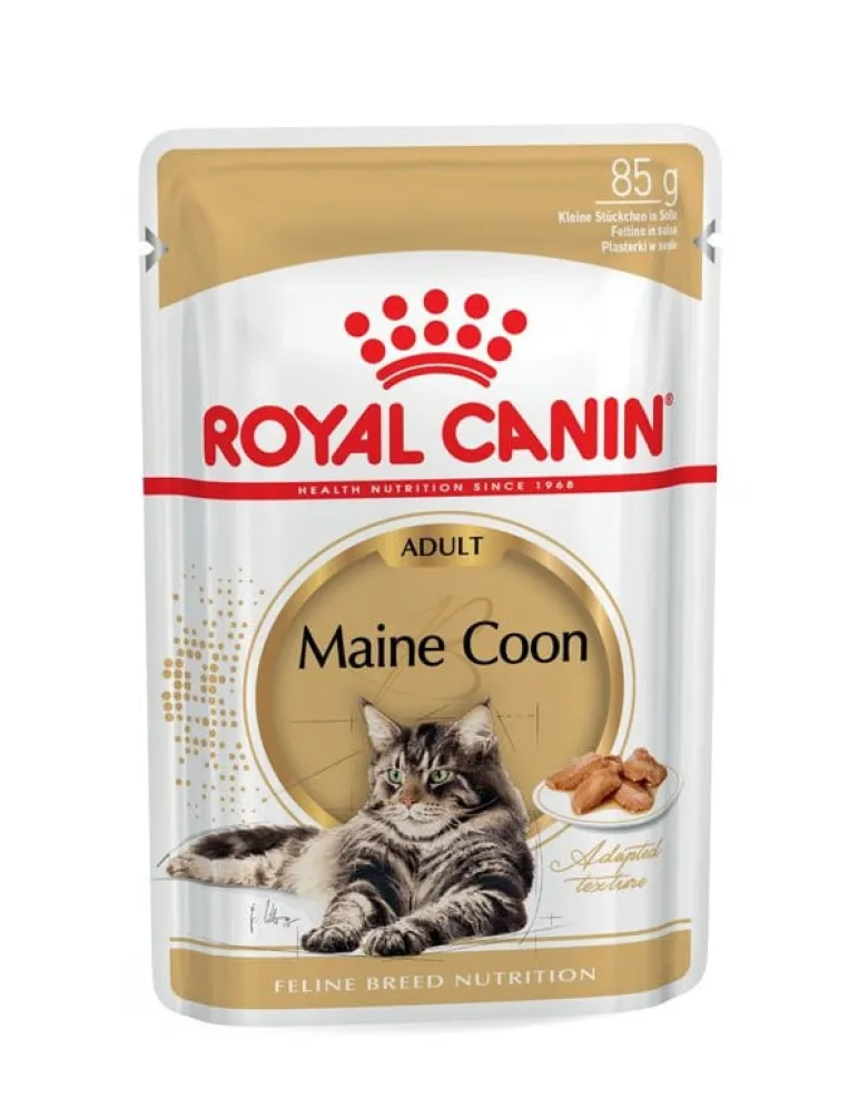 ROYAL CANIN Maine Coon Adult 10kg + umido Mainecoon 12x85 g