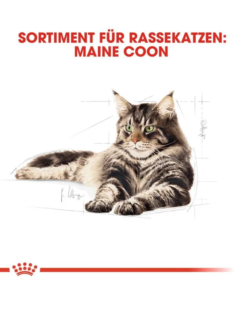ROYAL CANIN Maine coon 10 kg