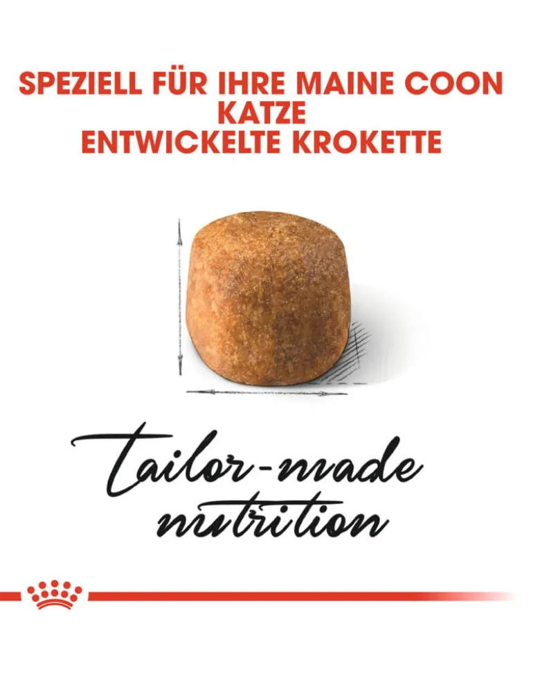 ROYAL CANIN Maine coon 10 kg