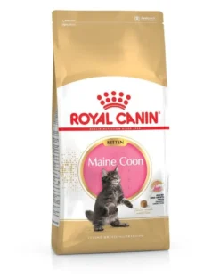 ROYAL CANIN Maine Coon Kitten 10 kg
