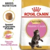 ROYAL CANIN Maine Coon Kitten 20kg (2x10kg)