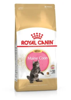 ROYAL CANIN Maine Coon Kitten 20kg (2x10kg)