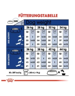 ROYAL CANIN Maxi Adult 30kg (2x15kg) cibo secco per cani adulti fino a 5 anni di età, razze grandi