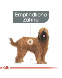 ROYAL CANIN Maxi Dental Care 9 kg