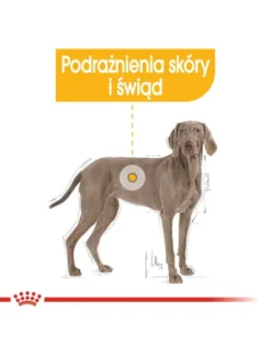ROYAL CANIN Maxi Dermacomfort 12 kg