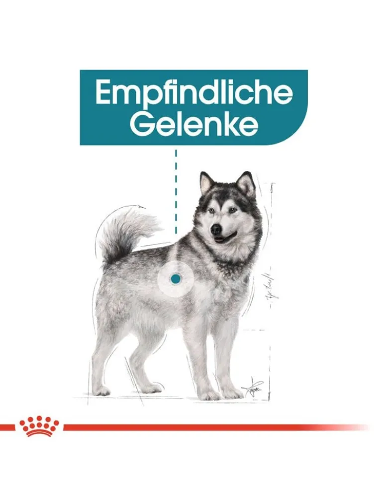 ROYAL CANIN Maxi Joint Care 10 kg