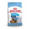 ROYAL CANIN Maxi starter mother & babydog 4 kg