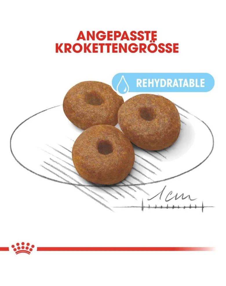 ROYAL CANIN Maxi Starter Mother&Babydog 30kg (2x15kg)