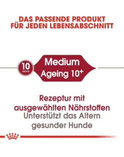 ROYAL CANIN Medium Ageing 10+ 15 kg cibo secco per cani maturi di età superiore ai 10 anni, razze di media taglia