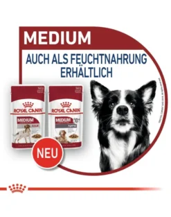 ROYAL CANIN Medium Ageing 10+ 30 kg (2 x 15 kg) cibo secco per cani maturi di età superiore ai 10 anni, razze di media taglia