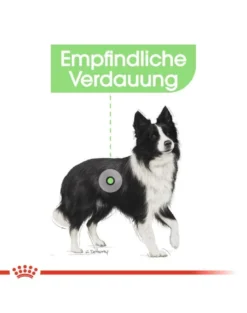 ROYAL CANIN Medium Digestive Care 3 kg