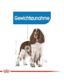 ROYAL CANIN Medium Light Care 3 kg