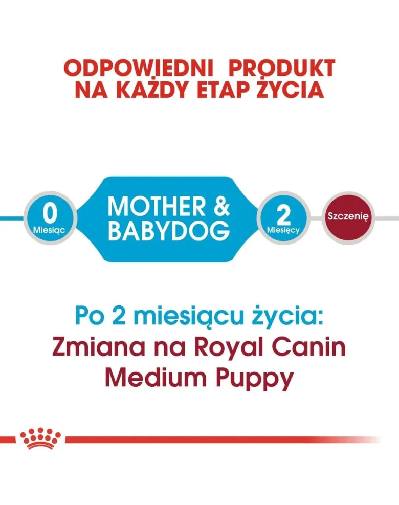 ROYAL CANIN Medium Starter Mother&Babydog 15 kg cibo secco per femmine in gravidanza, durante l'allattamento e cuccioli, da 4 a 8 settimane di vita, razze medie