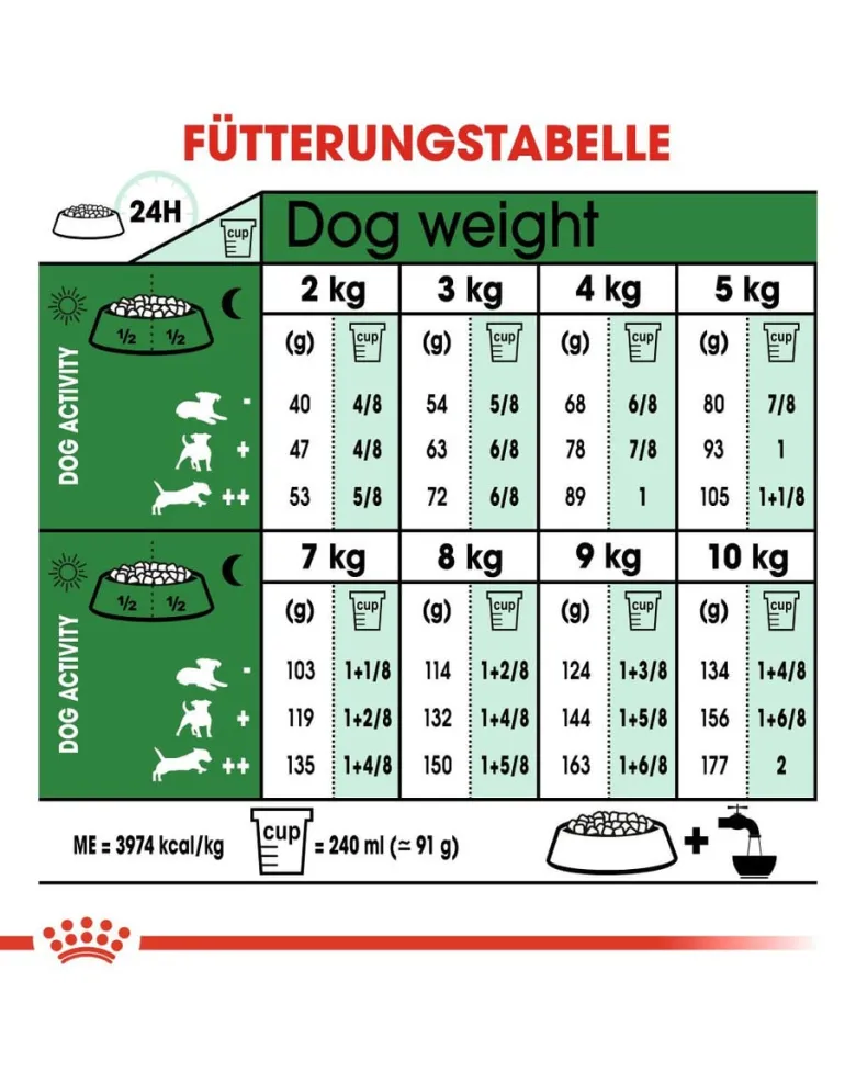 ROYAL CANIN Mini Adult 8+ 16 kg (2 x 8 kg) per cani anziani da 8 a 12 anni di età, razze di piccola taglia