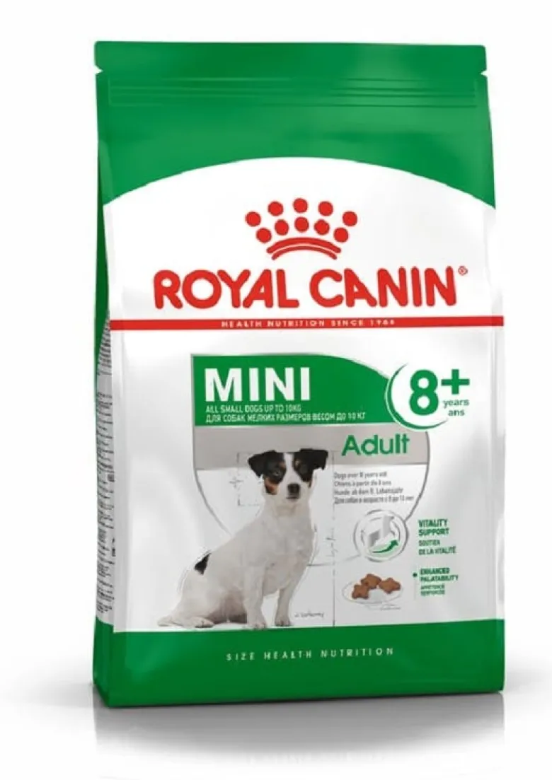 ROYAL CANIN Mini Adult 8+ 16 kg (2 x 8 kg) per cani anziani da 8 a 12 anni di età, razze di piccola taglia