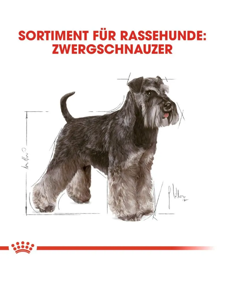 ROYAL CANIN Miniature Schnauzer Adult 15kg (2x7.5kg)