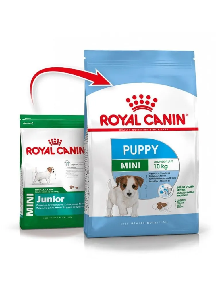 ROYAL CANIN Mini Puppy / Junior 8 kg + Mini puppy 12x85 g
