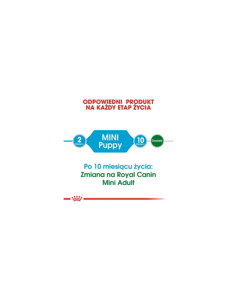 ROYAL CANIN Mini Puppy / Junior 8 kg + Mini puppy 12x85 g