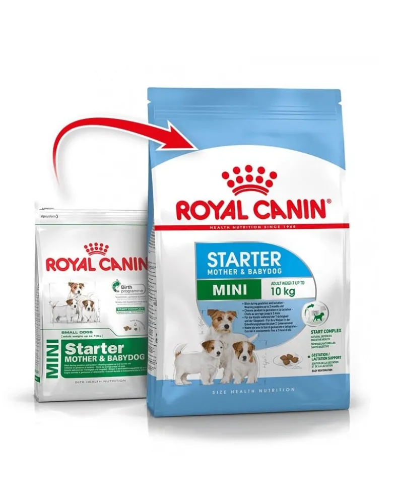 ROYAL CANIN Mini Starter Mother & Babydog 8kg