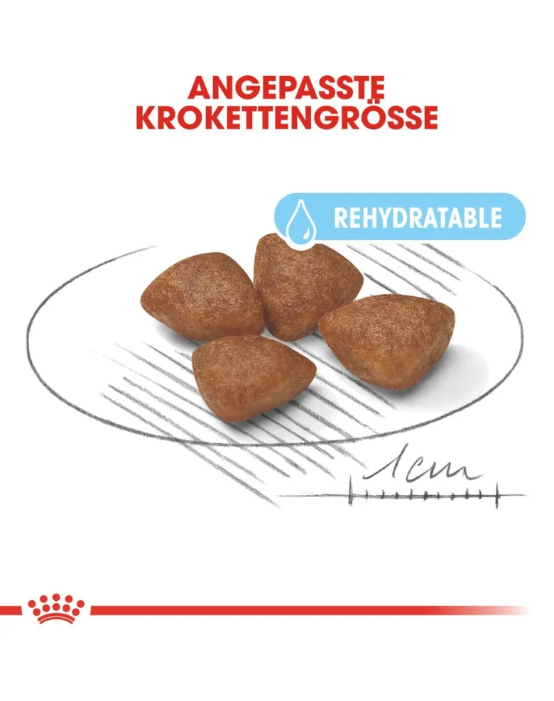 ROYAL CANIN Mini starter mother & babydog 1 kg