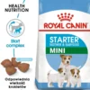ROYAL CANIN Mini Starter Mother& Babydog 4kg cibo secco per la gravidanza, allattamento e cuccioli da 4 a 8 settimane, razze piccole