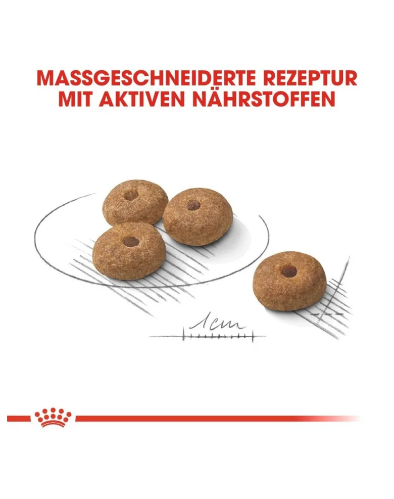 ROYAL CANIN Mini sterilised 1 kg