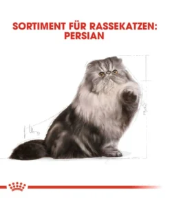ROYAL CANIN Persian Adult 10kg + umido 12x85 g