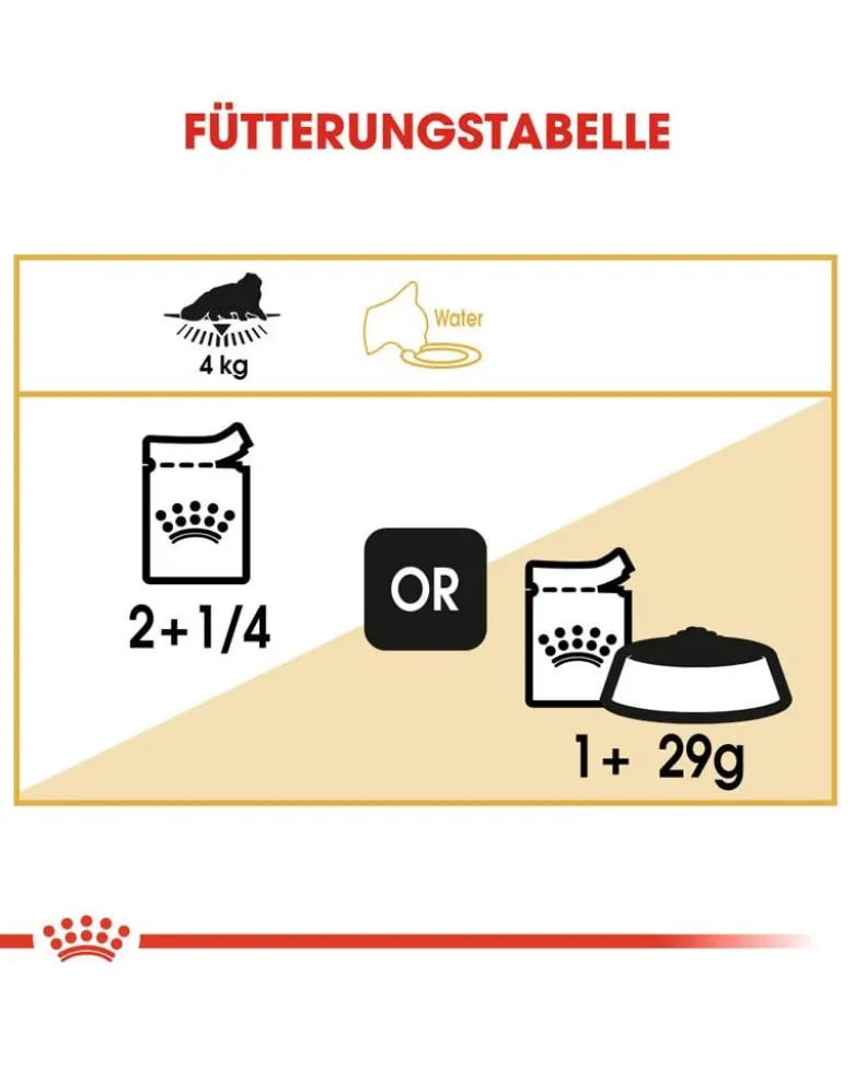ROYAL CANIN Persian Adult 24x85 g paté, per gatti persiani adulti