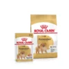 ROYAL CANIN Pomeranian Adult 1.5 kg+ cibo umido Pomeranian Adult 12 x 85g
