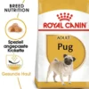 ROYAL CANIN Pug adult 1.5 kg