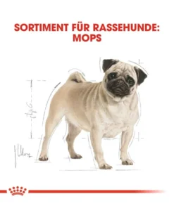 ROYAL CANIN Pug adult 1.5 kg